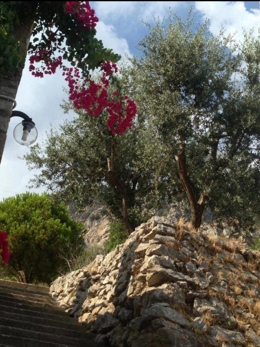 Villa Casa Njulinella à Furore Extérieur photo